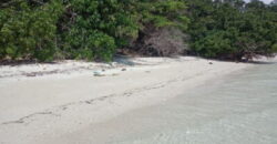 JUAL TANAH DI LABUAN BAJO KOMODO- 1 Investasi Masa Depan