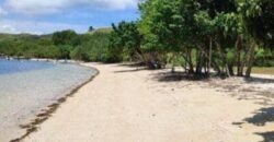 Tanah Labuan Bajo Komodo Dijual 1 H-Temukan Properti Impianmu