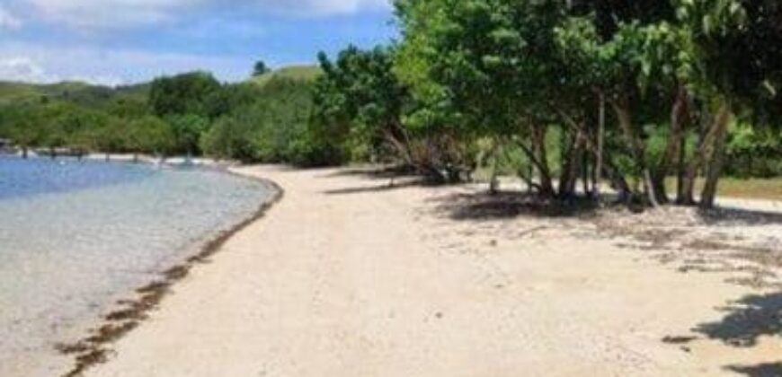 Tanah Labuan Bajo Komodo Dijual 1 H-Temukan Properti Impianmu